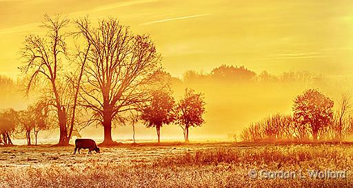 Sunrise Pasture_P1210133-5.jpg - Photographed near Rosedale, Ontario, Canada.